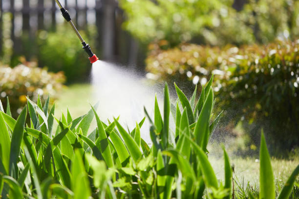 Tamper-Resistant Bait Stations for Rodents in Sharpsburg