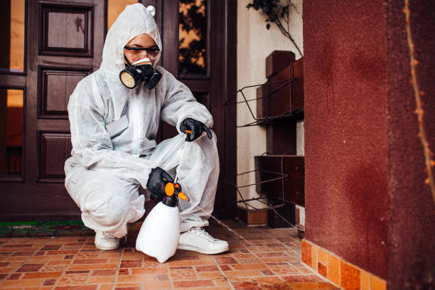 Attic and Crawl Space Rodent Treatment in Sharpsburg