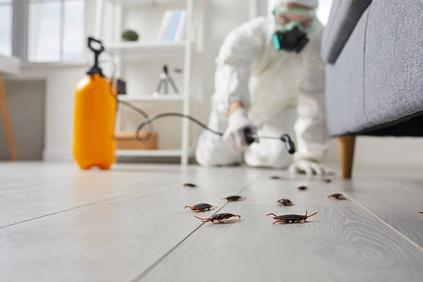 Commercial Rodent Management in Sharpsburg
